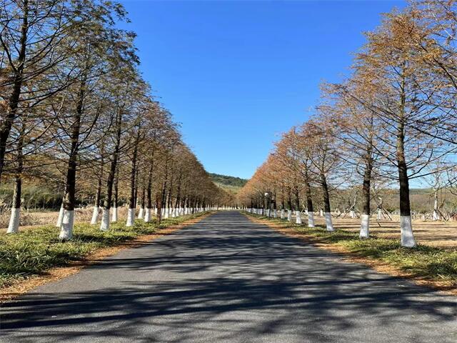 青岛市北区KTV预订信息超值套餐等你体验(图1)