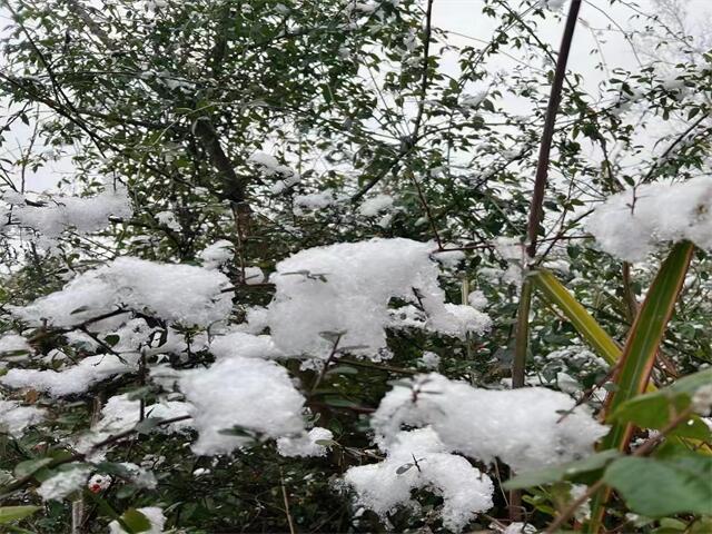 成都蒲江县夜总会临近节日特别订房活动